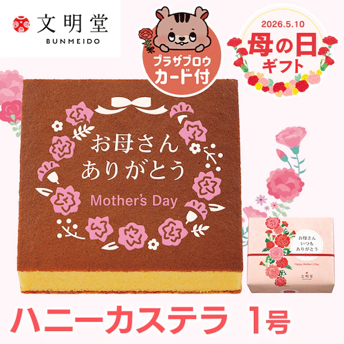 【2026年 母の日】文明堂母の日カステラ【お届けは5/6(水)〜5/9(土)】_0
