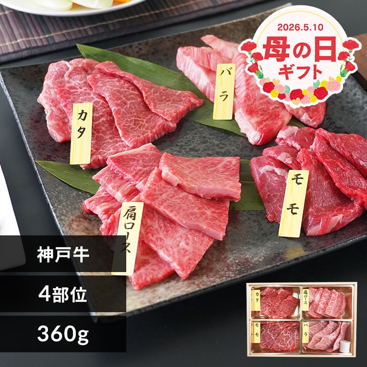 �y��̓��z�_�ˋ��ē�4�퐷�y���͂���5/8(��)�`5/10(��)�ł� �z�y�����w��s�z