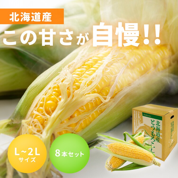 �k�C���Y���F�Ƃ����낱��8�{