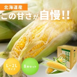 �k�C���Y���F�Ƃ����낱��8�{���y�\��z8�����{���딭���\��