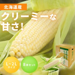 �k�C���Y�����Ƃ����낱��8�{���y�\��z8�����{���딭���\��