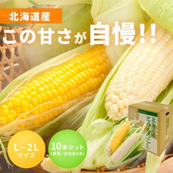 �k�C���Y���F������Ƃ����낱�� �e5�{���y�\��z8�����{���딭���\��