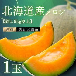 �k�C���Y�ԓ�������1��(1�ʖ�1.6kg�ȏ�)