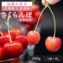 �k�C���Y��������500g �y���Ԏw��s�z�y����s�z�y�����s�z�y�v���U�Z���N�g�z���y�\��z7�����{���딭���\��