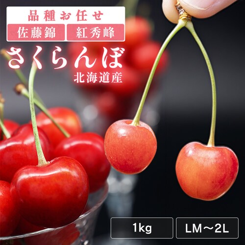 �k�C���Y��������1kg�i500g�~2�j �y���Ԏw��s�z�y����s�z�y�����s�z�y�v���U�Z���N�g�z_0