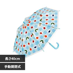 �X�P�[�^�[ �L�����N�^�[�r�j�[���P 40cm UBV2 �͂�؂������ނ��M���K��