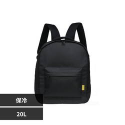 LIV PLUS�@�ۗ⃊���b�N 20L �u���b�N LV-0491