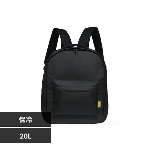 LIV PLUS�@�ۗ⃊���b�N 20L �u���b�N LV-0491_0