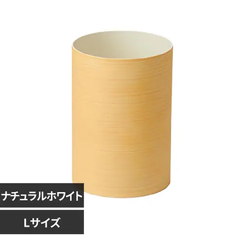 ダスパースタイル ダストボックス L DS-02 ナチュラルホワイト_0