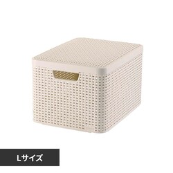 Style�i�X�^�C���j ���[�{�b�N�XL CV-050 �z���C�g