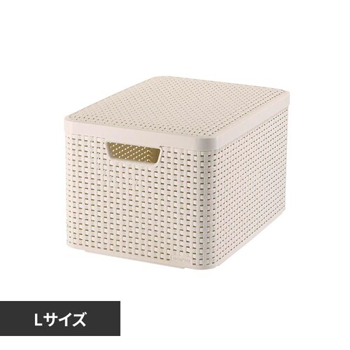 Style�i�X�^�C���j ���[�{�b�N�XL CV-050 �z���C�g_0