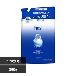 h&s ���C�X�`���[ �߂��� �V�����v�[