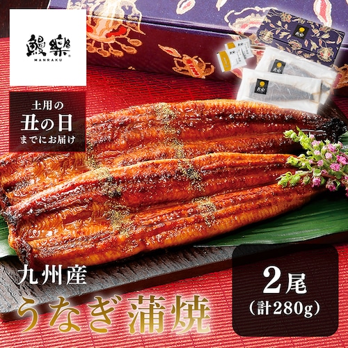 【鰻楽】【お届けは7/20(月)〜7/24(金)】九州産うなぎ蒲焼 2尾セット aQMN2/280【代引き不可】_0