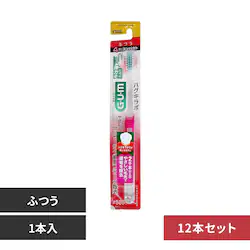 GUM �y12�{�Z�b�g�zGUM �n�O�L���{ �f���^���u���V 1�{ ��588