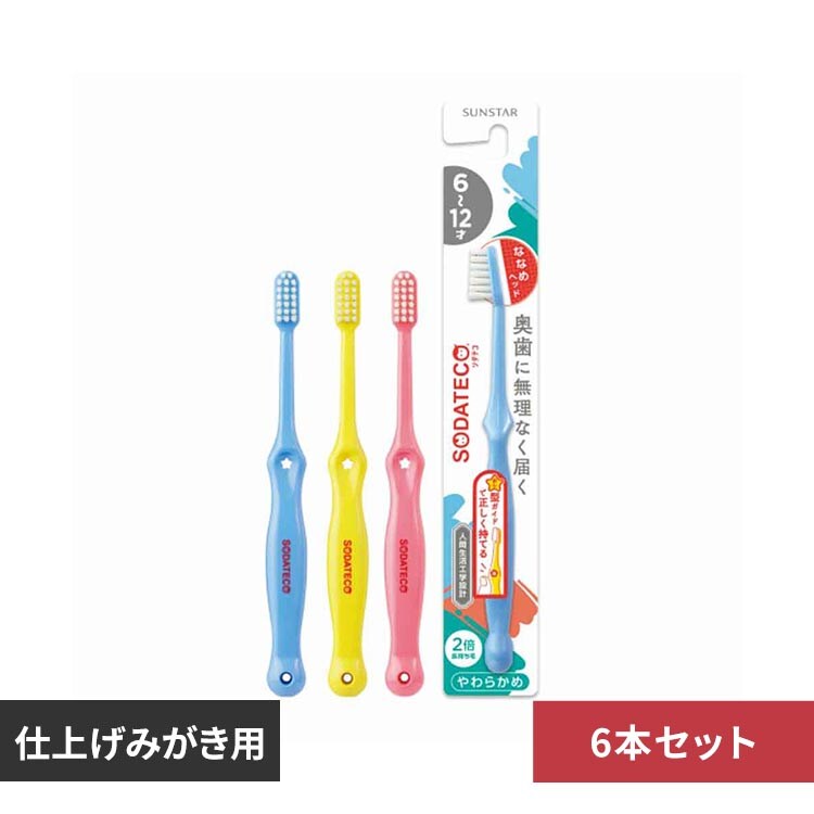 �y6�{�Z�b�g�zSODATECO �\�_�e�R���ǂ��n�u���V 1�{ 25302 6-12�˗p