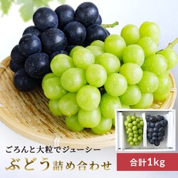 �Ԃǂ��l���� AF-SPS �y���Ԏw��s�z�y����s�z�y�����s�z���y�\��z7�����{���딭���\��