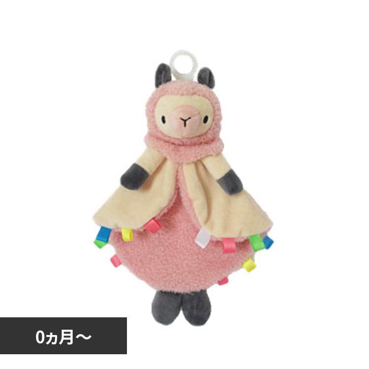 Pacifriends パシフレンズ ブランキー PACB001