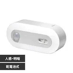 ���d�r���l�����Ãi�C�g���C�g NBSMN70WH