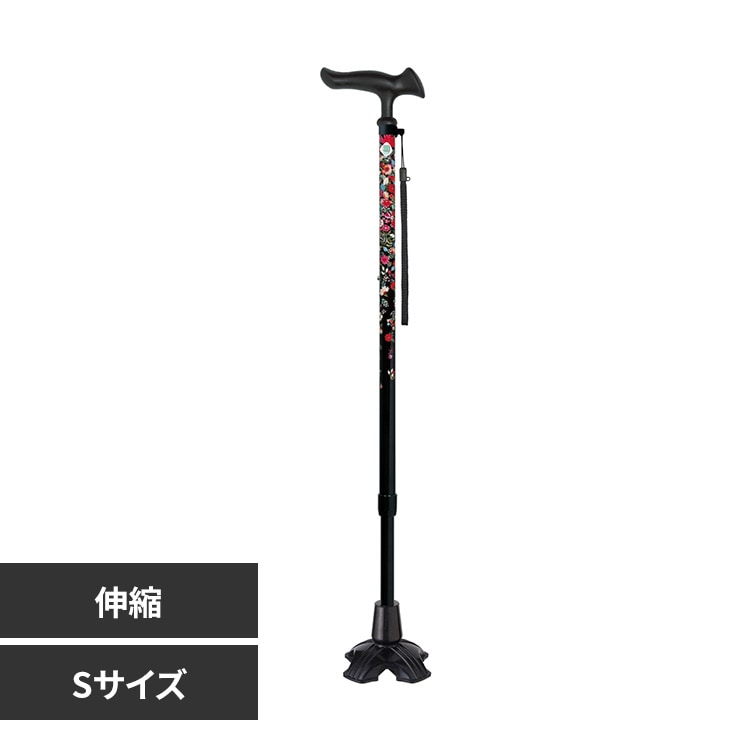 ���邪���t�@��II 4�_DX�L�kS WB5225 �u�[�P