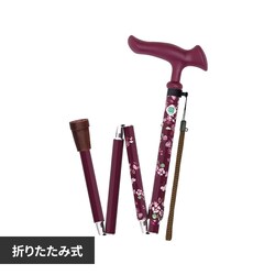 ���邪���t�@��II�܏� WB5132 ���ԃ��C��