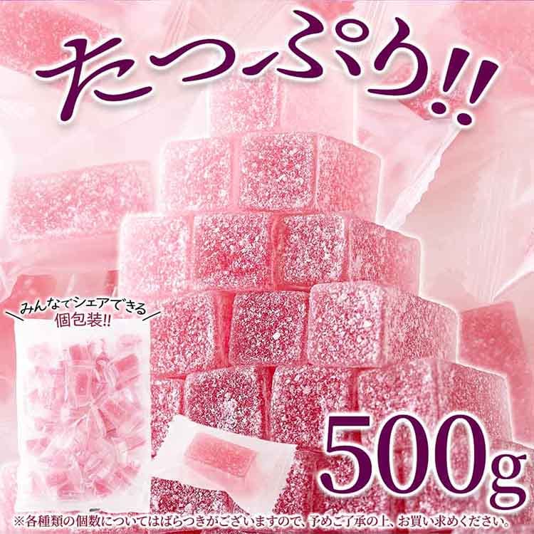 �V�R���� �i�K�m�p�[�v�����V�[���[ 500g SM00011599
