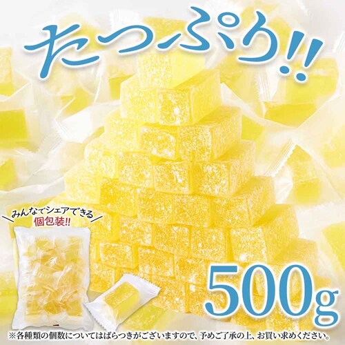 �V�R���� ���������V�[���[ 500g SM00011513_0