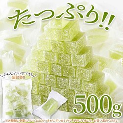 �V�R���� �V���C���}�X�J�b�g���V�[���[ 500g SM00011512