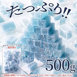 �V�R���� �����l���V�[���[ 500g SM00011511