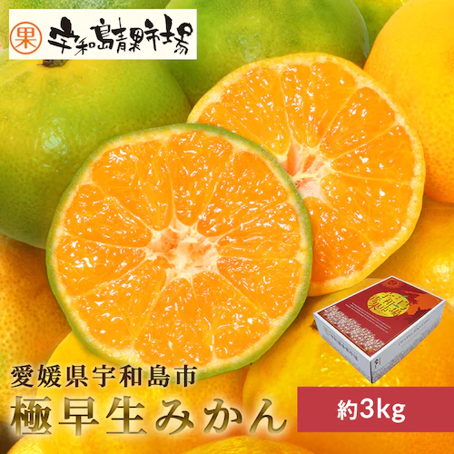 宇和島青果市場 宇和島極早生みかん 上品 甘み 産地直送 3kg _0