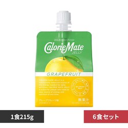 ��ː��� �y6�H�z�J�����[���C�g �[���[ �O���[�v�t���[�c��