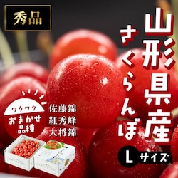 山形県産さくらんぼ 約500gバラ詰め 秀品L 【時間指定不可】【代引不可】【同梱不可】