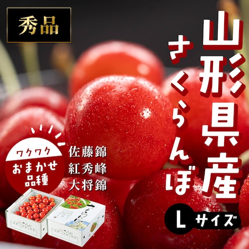 山形県産さくらんぼ 約500gバラ詰め 秀品L 【時間指定不可】【代引不可】【同梱不可】_0
