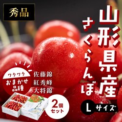 �R�`���Y�������� ��500g�o���l�߁~2�� �G�iL �y���Ԏw��s�z�y����s�z�y�����s�z