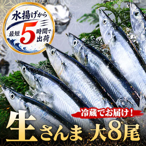 とれどき 三陸・気仙沼産 生さんま大8尾 【時間指定不可】【代引不可】【同梱不可】_0