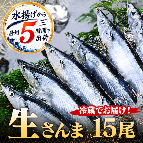 とれどき 三陸・気仙沼産 生さんま15尾 【時間指定不可】【代引不可】【同梱不可】_0