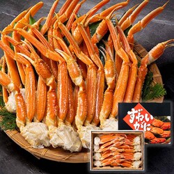 �{�C�����킢�I ���i7�`8�����j �y���Ԏw��s�z�y����s�z�y�����s�z