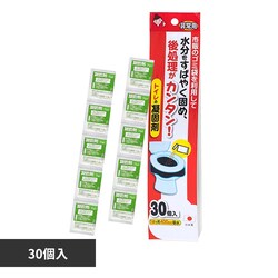 ���p�g�C���̋Ìō� 30�� RB-13
