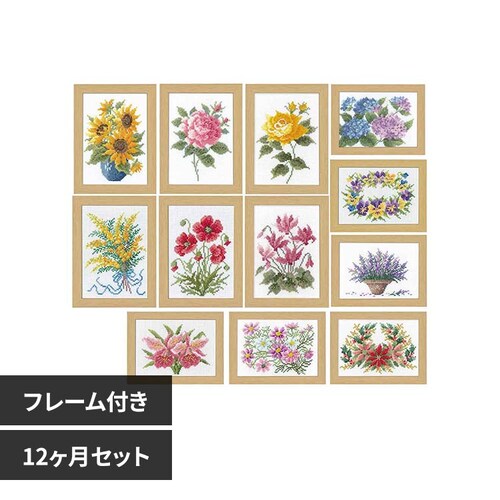 Olympus �h���イ�L�b�g 12�����̉ԃt���[�� 12�����Z�b�g_0