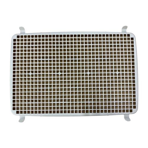 XmRiAC{[jt`ꂵɂg[jOybgg[FTT-485p894955