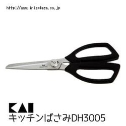yLzZNg100@Lb`΂DH3005