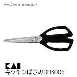 yLzZNg100@Lb`΂DH3005