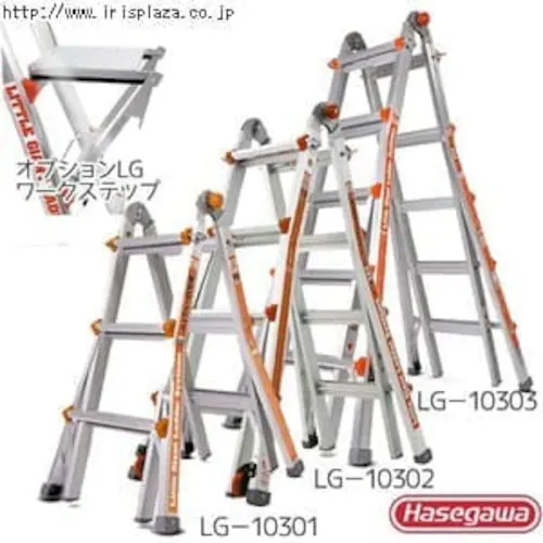 �A���^�����@LG�|10301�@�I�����W�ᒷ�J��H�Ɓ�_0