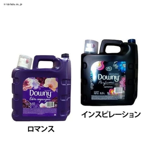 メキシコダウニー ロマンス・インスピレーション【プラザセレクト】