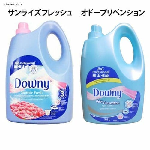  【単品・セット】アジアンダウニー 全2種【プラザセレクト】