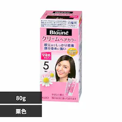 ԉ u[lN[wAJ[ 5 IFyvUZNgz