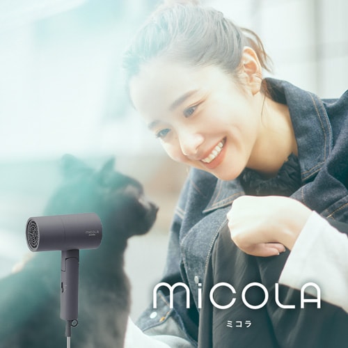 MiCOLA CIhC[ X^_[hf HDR-M101 S6F
