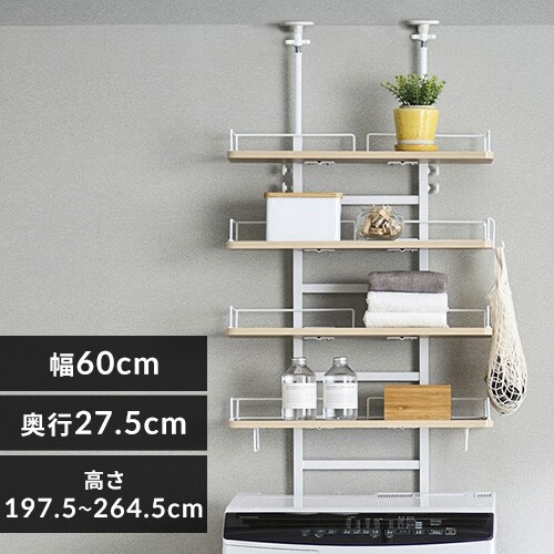 y2,000~OFFN[|zh[bN ˂^Cv TLR-4 zCg/Cgi`_0