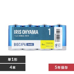 y4{pbNz AJdr P1` BIGCAPA basic LR20Bb/4P