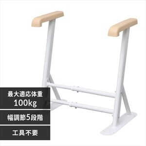 �g�C���p�T�|�[�g�肷�� ���p�i