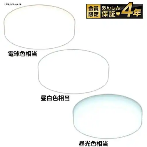y󂠂z^V[OCg SCL20N-HL F _0